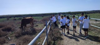 Εκπαιδευτική εκδρομή ΚΠΕ Ακρωτηρίου